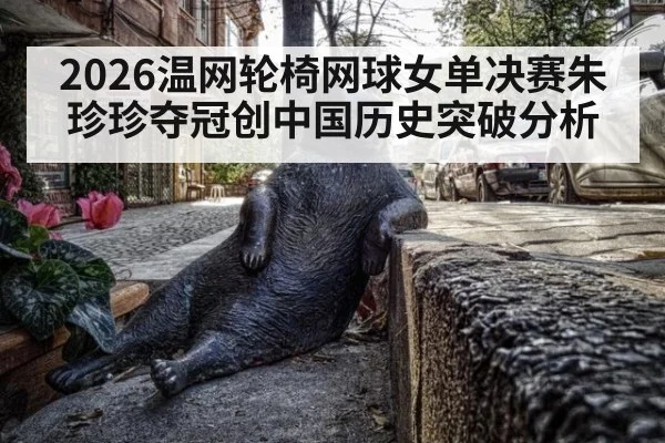 2026温网轮椅网球女单决赛朱珍珍夺冠创中国历史突破分析